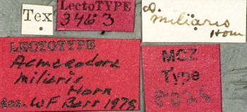 Media type: image;   Entomology 8026 Aspect: labels